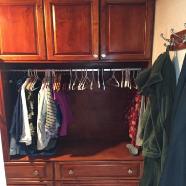 Shirt and blouse rack